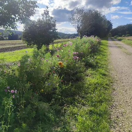 1 Apartment, Nature Pur Apartment Nattheim